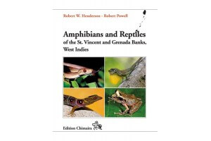 Amphibians and reptiles of the St. Vincent and Grenada Banks, West Indies